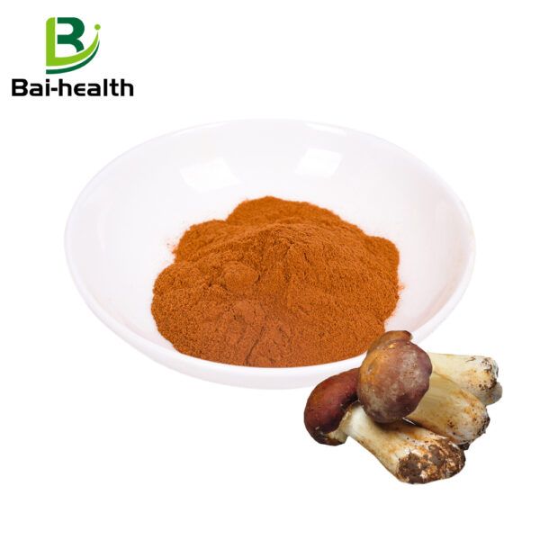 Agaricus blazei antler powder