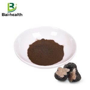 Black truffle powder