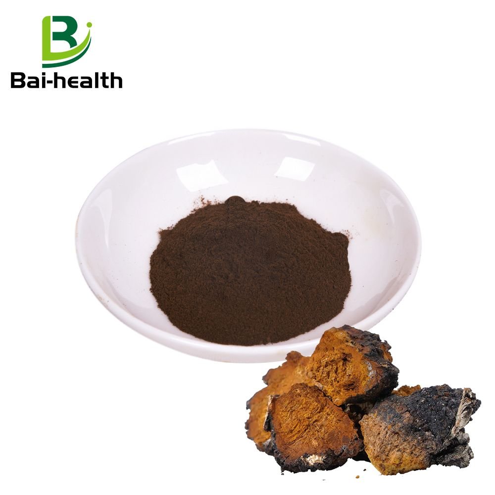 The factory supplies organic birch mushroom powder - bai-health.com