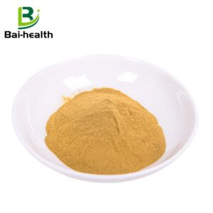 100% Pure Witch Hazel Extract Powder Hamamelis Virginiana Extract